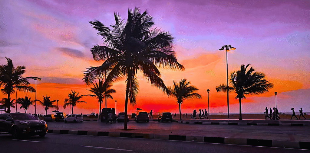 Palm trees silhouetted at sunset near the ocean, with cars parked along the waterfront.