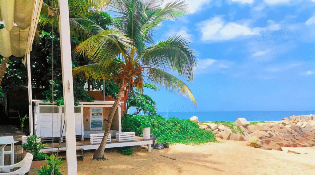 Beachfront view with palm trees, white wooden seating areas, and a clear blue sky at a peaceful coastal spot in Luanda.