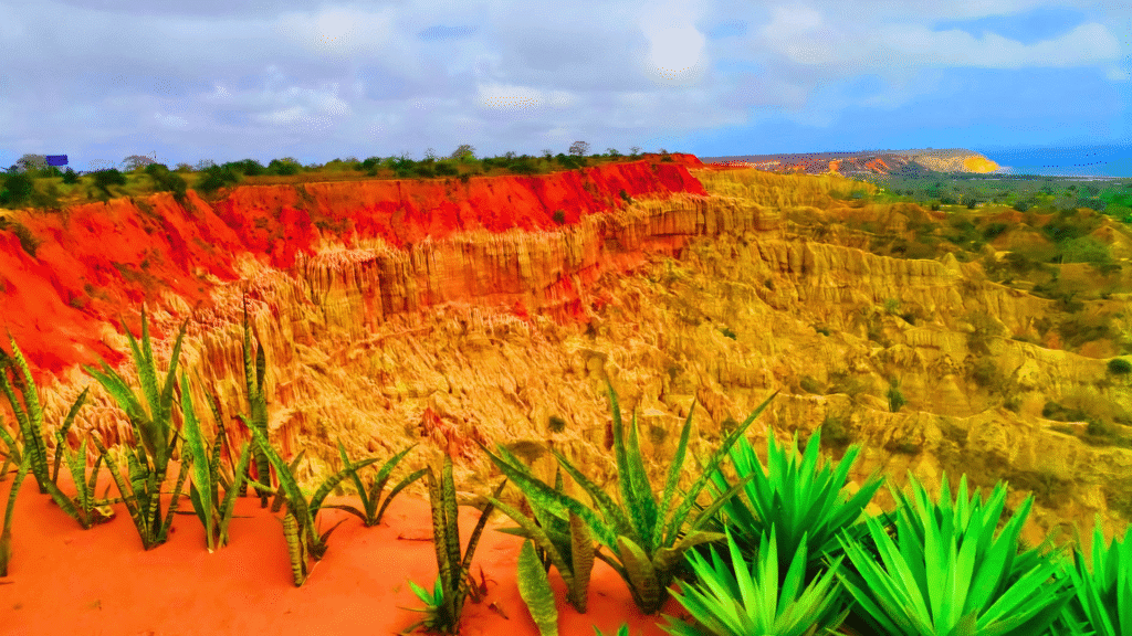 Colorful cliffs and unique rock formations at Miradouro da Lua, with green agave plants in the foreground.