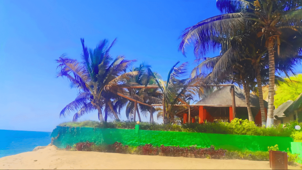 Seaside bungalows surrounded by palm trees at Boutique Lodge Sangano, under a bright blue sky.