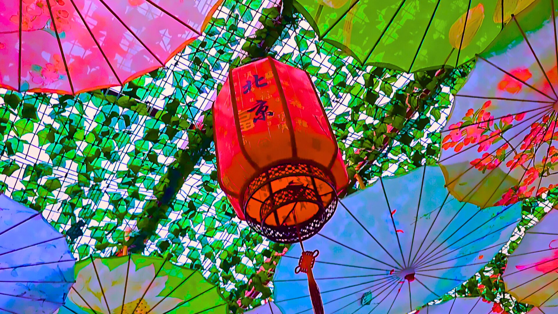 Pequim Restaurante - photo 5