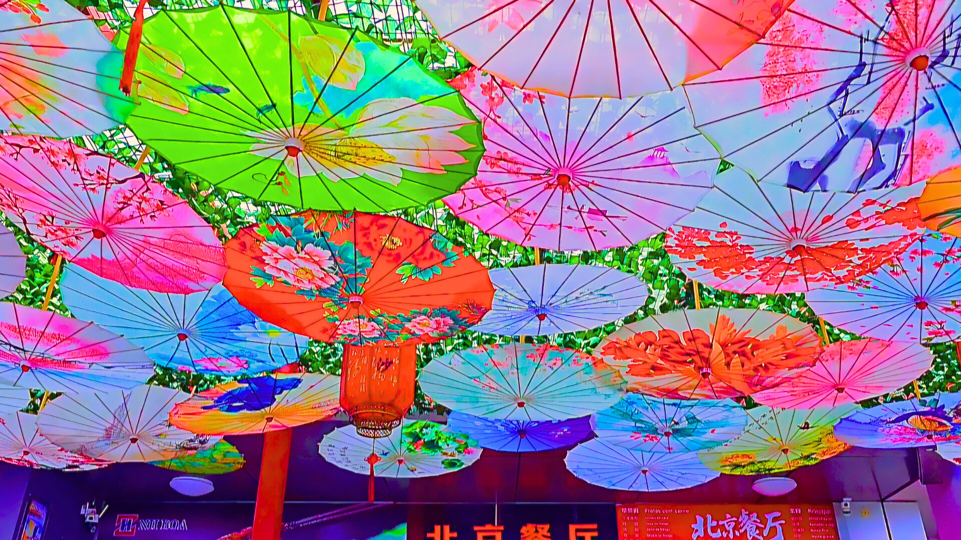 Pequim Restaurante - photo 1